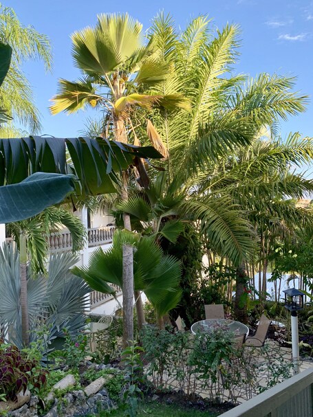 Lazy Parrot Inn - Image 7