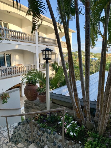 Lazy Parrot Inn - Image 35