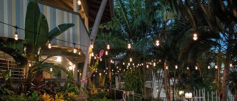 A tropical outdoor area with a stone pathway, palm trees, and string lights.