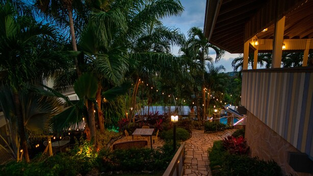 A tropical garden pathway with palm trees, a wooden bench, and string lights. - Lazy Parrot Inn (Rincon)