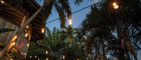 A building with a wooden exterior and a string of lights hanging between palm trees.