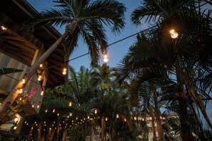 A building with a wooden exterior and a string of lights hanging between palm trees. - Lazy Parrot Inn (Rincon)