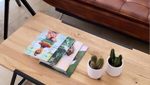 A brown leather sofa, a wooden coffee table with magazines and two potted cacti, and a chair in a room with a staircase in the background. - Hotel Zur Tanne (Fischingen)