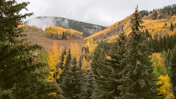 A mountainous landscape with autumn foliage and evergreen trees.