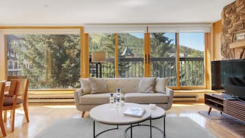 Flat-screen TV, fireplace, DVD player, books