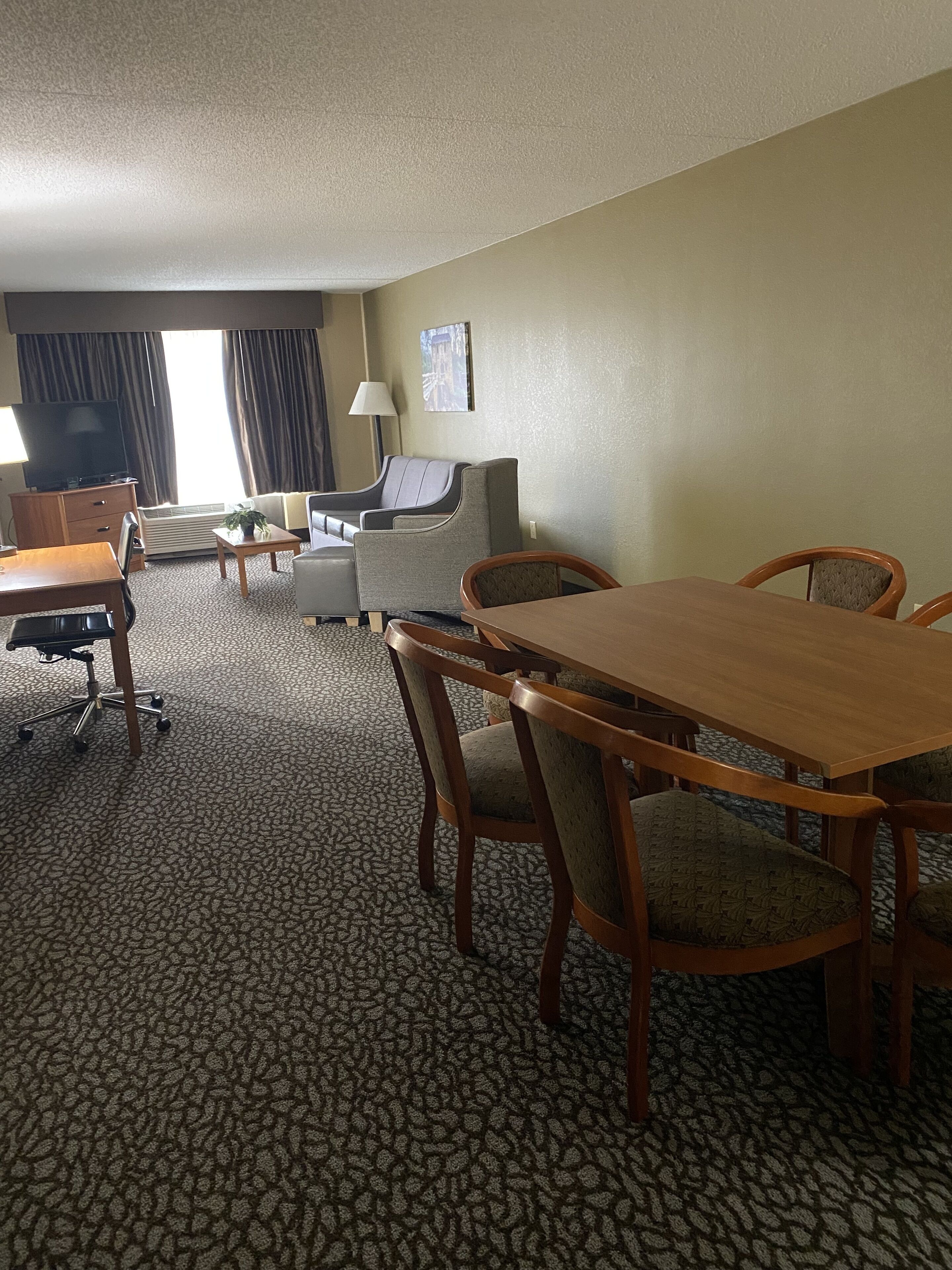 standard studio suite, 1 king bed, non smoking (one-bedroom) | living area | tv