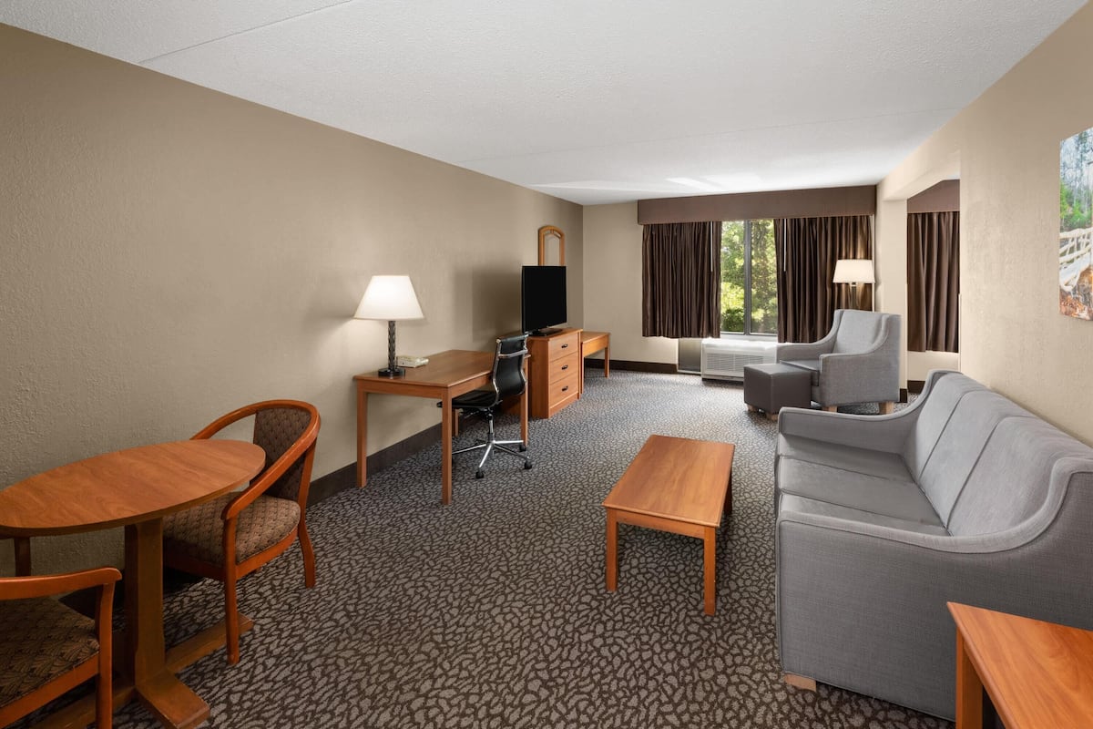 Standard Studio Suite, 1 King Bed, Non Smoking | 6 bedrooms, in-room safe, desk, iron/ironing board