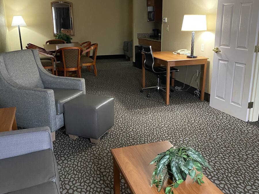 A hotel room with a grey sofa, a wooden coffee table with a plant, a dining table with chairs, a small kitchen area, and a door.