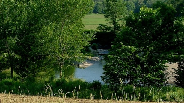 A river surrounded by dense green trees and a field. - 1824 House (Waitsfield)