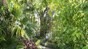 A lush garden with a variety of tropical plants and a paved walkway. - Duval House (Key West)