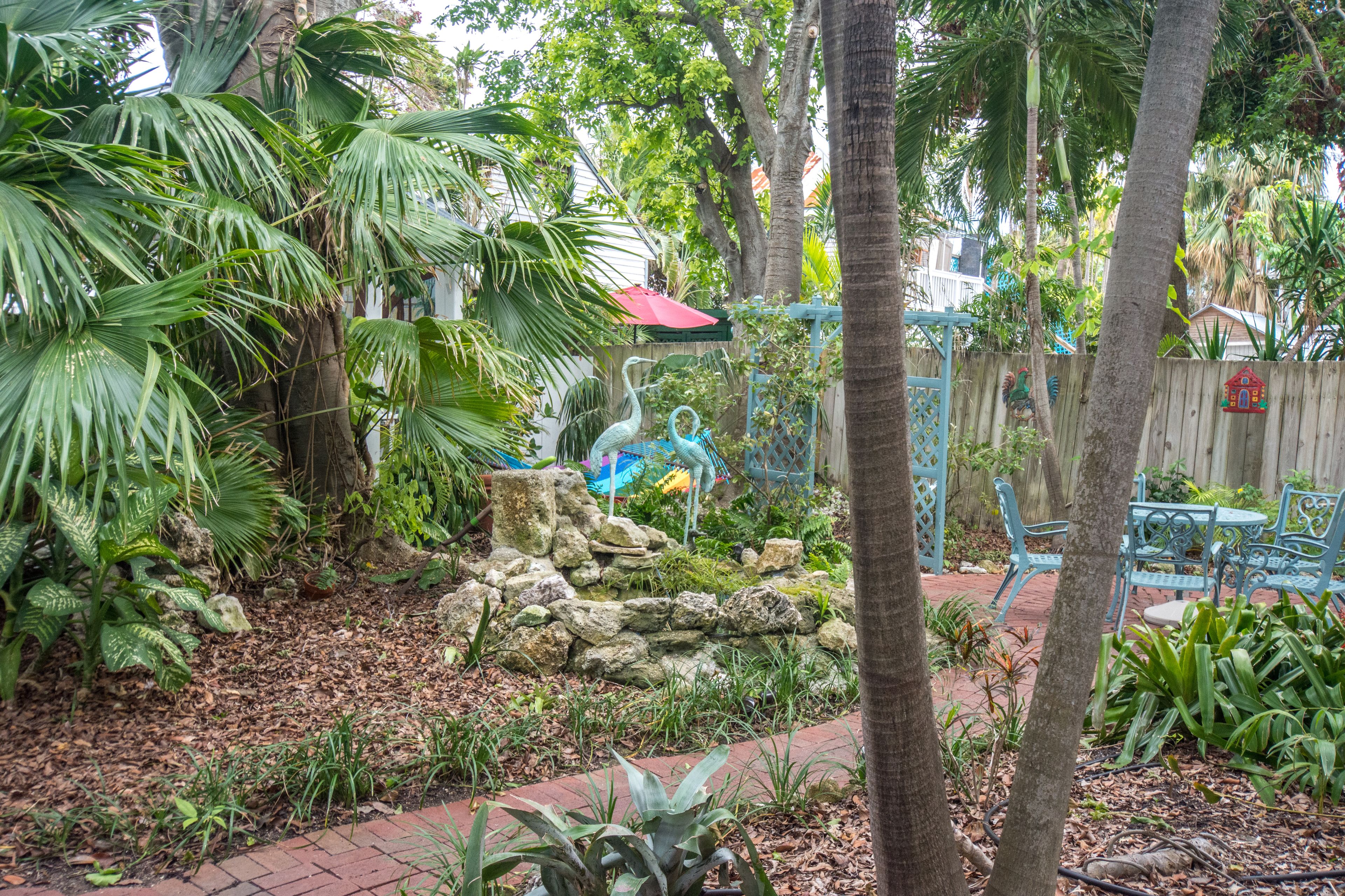 A garden with a decorative pond, stone wall, and tropical plants.