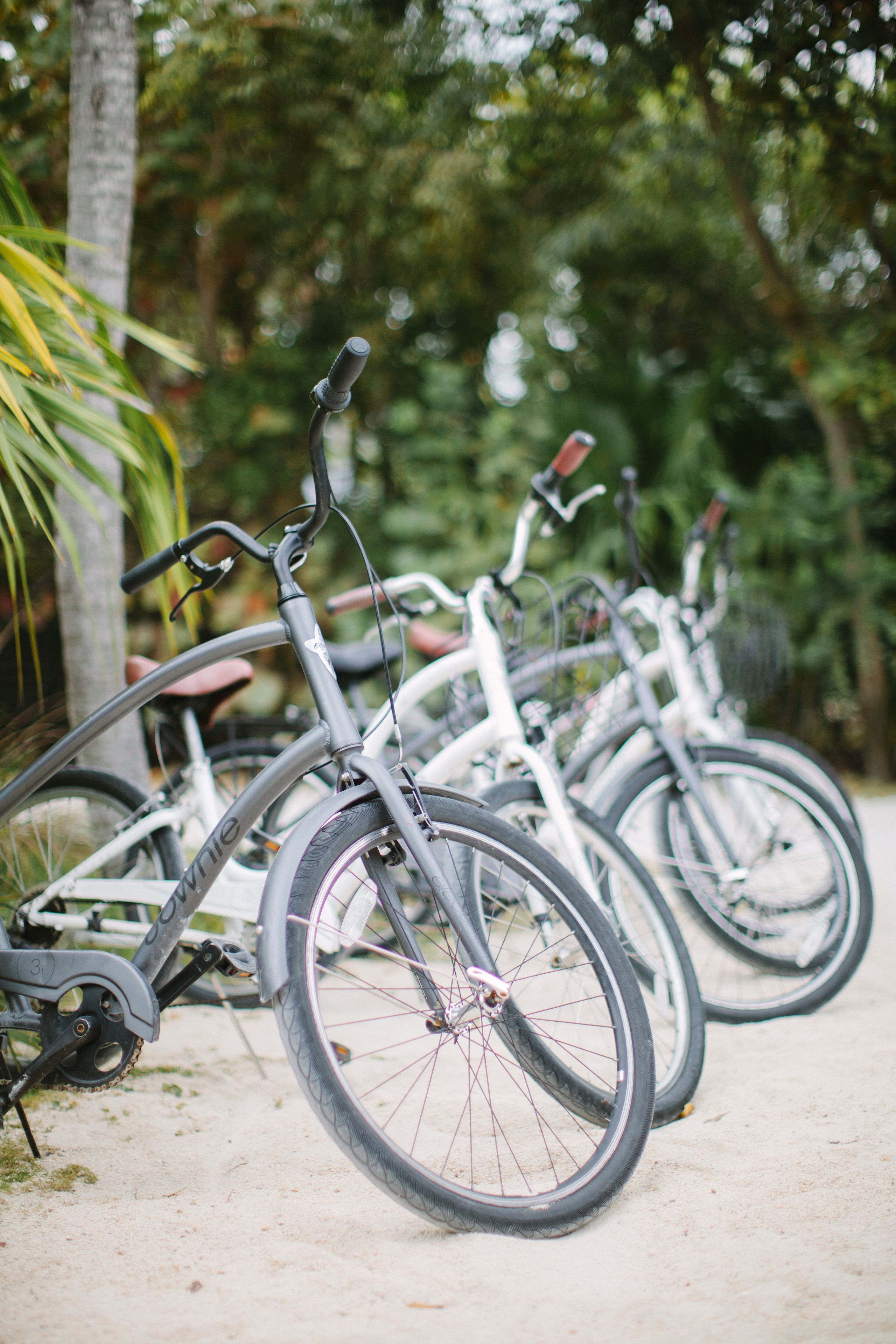 Bicycles parked in a row on a sandy surface with greenery in the background.