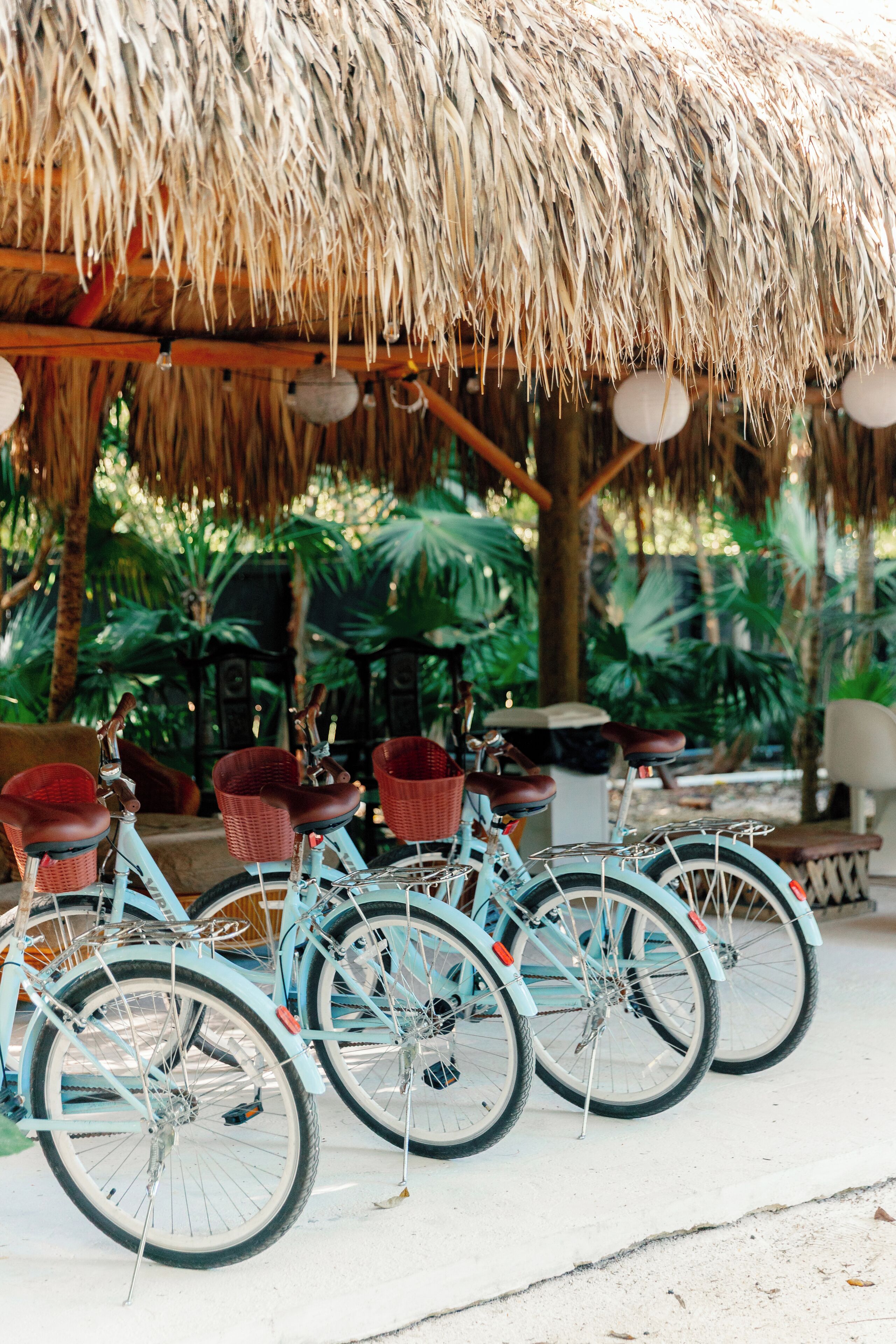 A row of bicycles parked under a thatched roof structure, surrounded by lush greenery.
