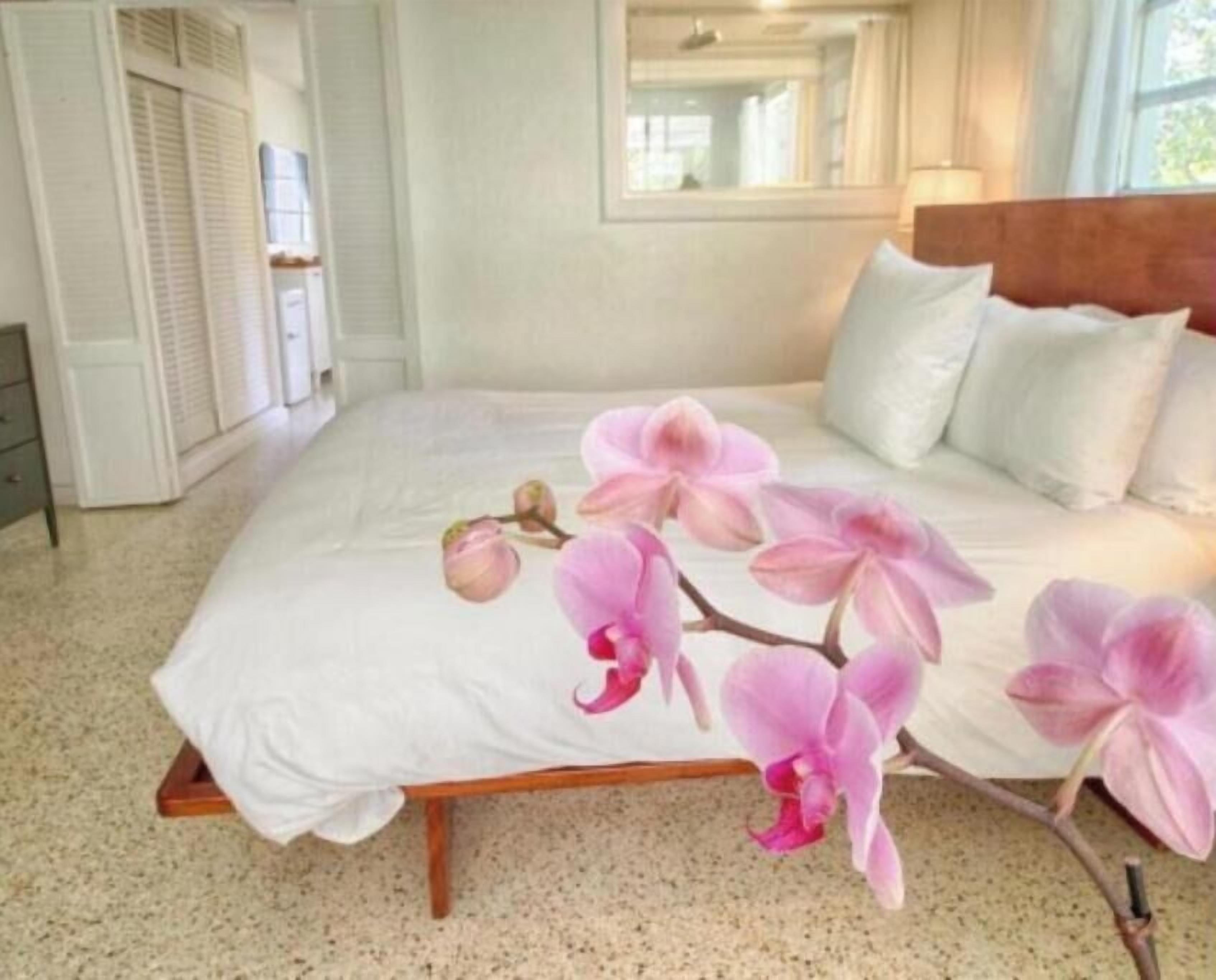 A bedroom with a bed, white bedding, and pink orchid flowers on the bed.