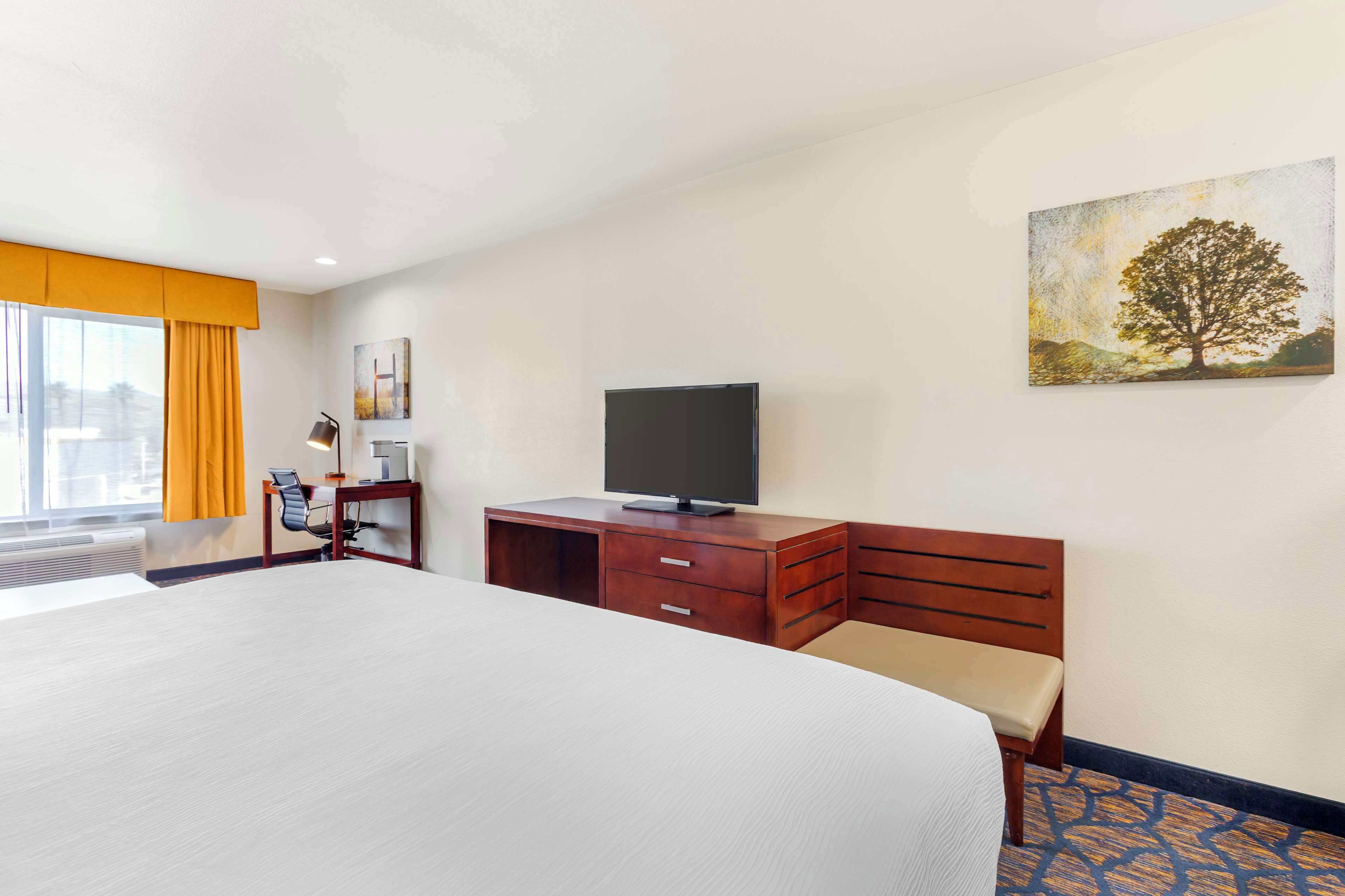 A hotel room with a large bed, a desk with a flat-screen TV, a chair, a small table with a lamp, and a painting of a tree on the wall.