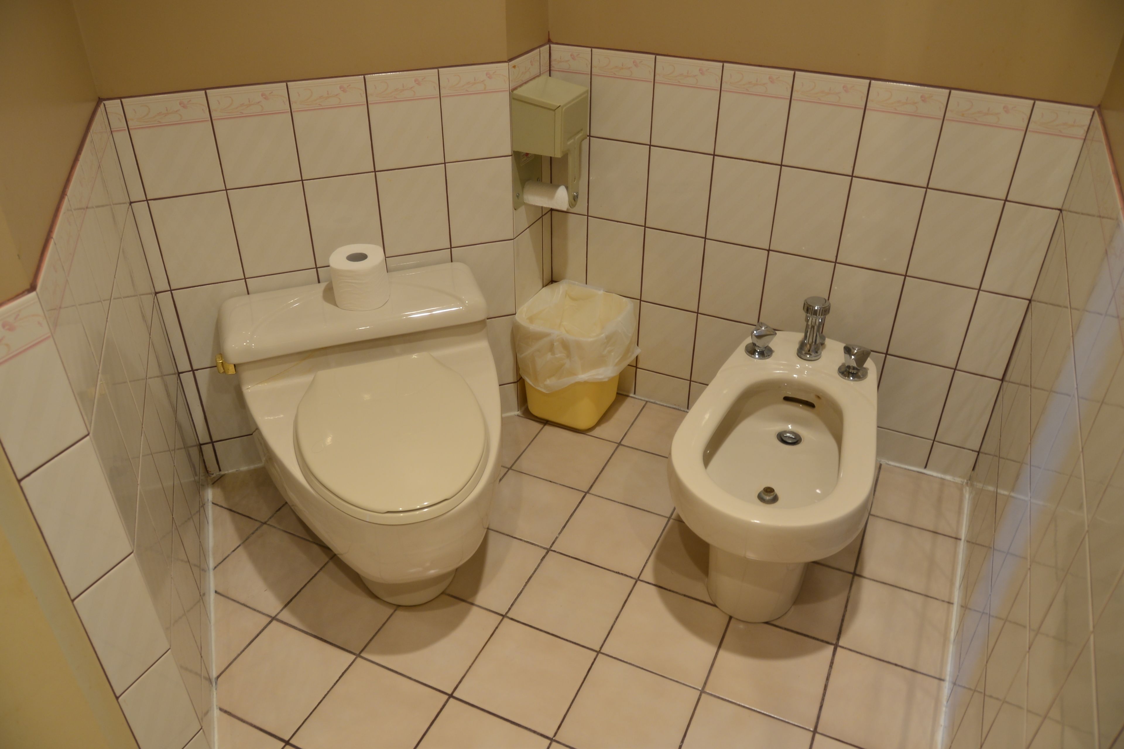 A bathroom with a toilet and bidet.