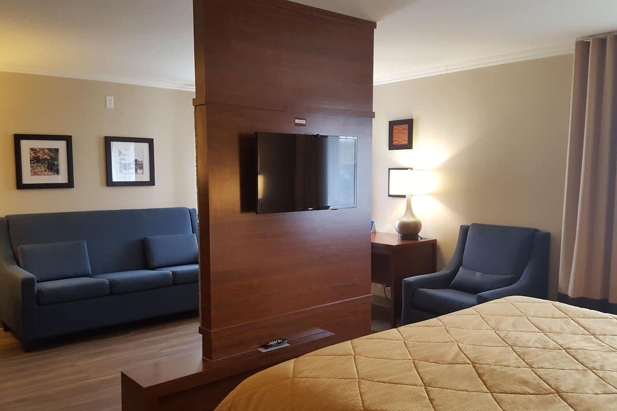 standard room, 1 king bed with sofa bed, non smoking | desk, soundproofing, iron/ironing board, cots/infant beds