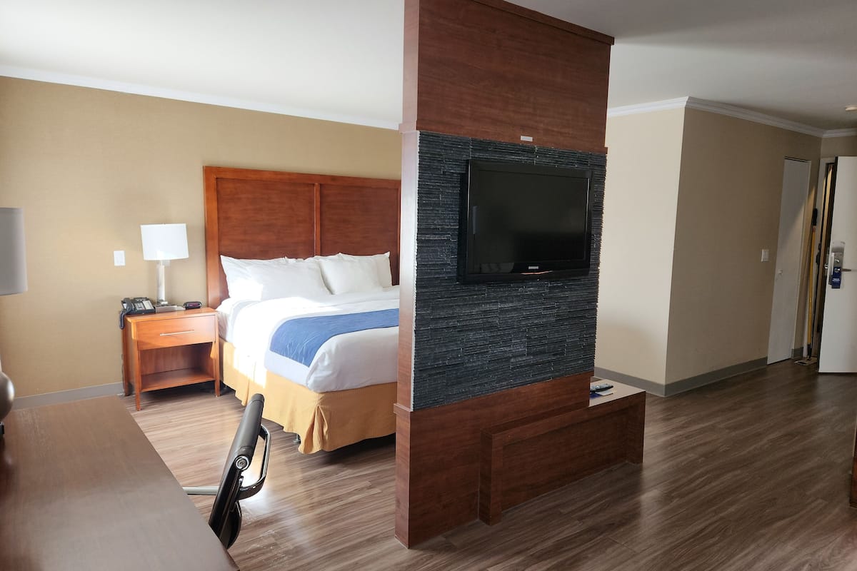 standard room, 1 king bed with sofa bed, non smoking | desk, soundproofing, iron/ironing board, cots/infant beds