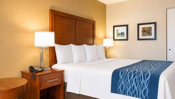 A hotel room with a bed, bedside tables, a lamp, a phone, and framed pictures on the wall.