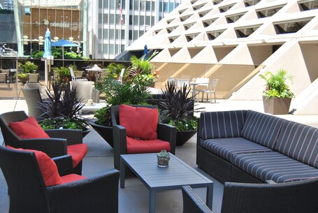 Hilton Toronto - Image 21