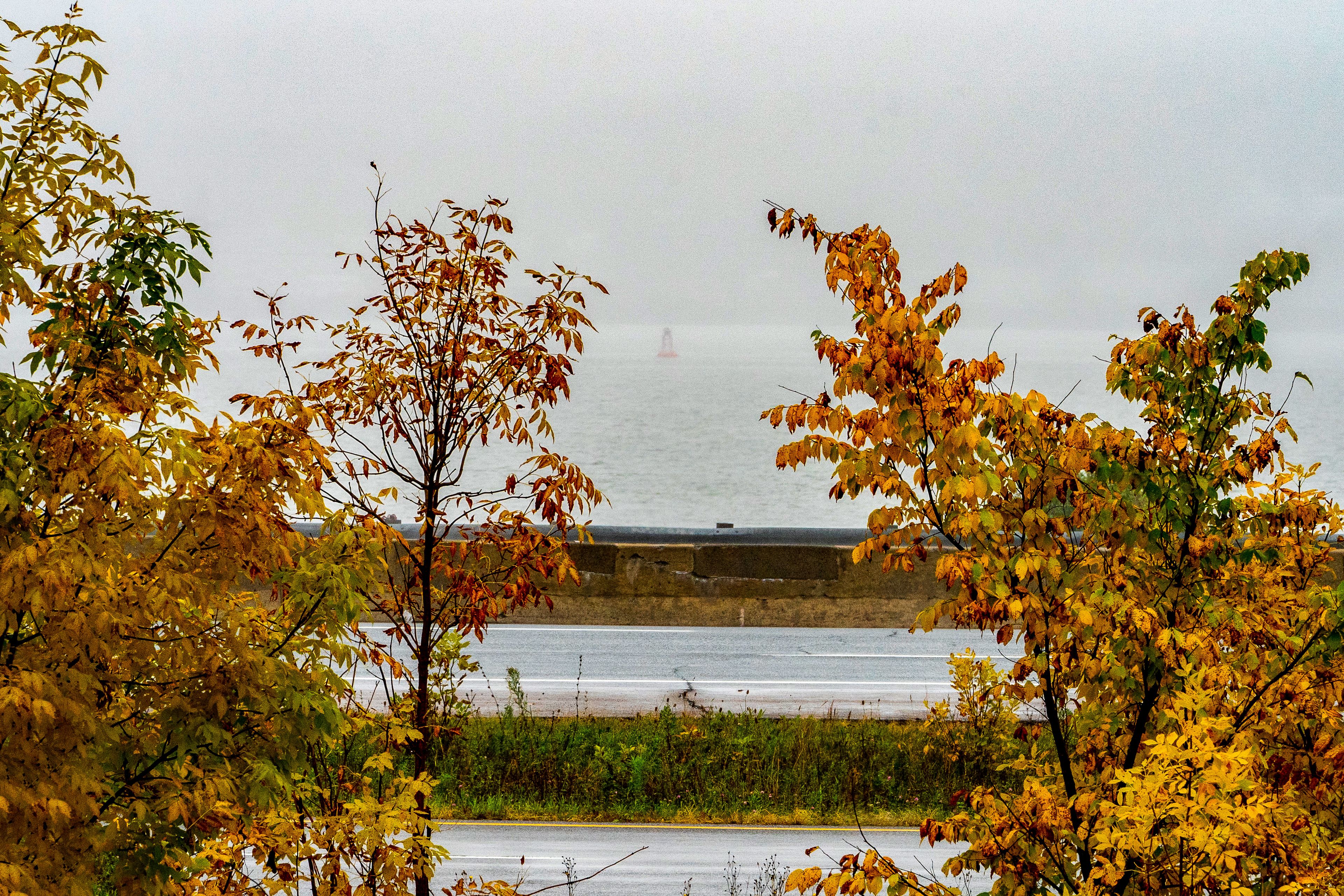 Foto - Hotel et Motel Le Chateauguay