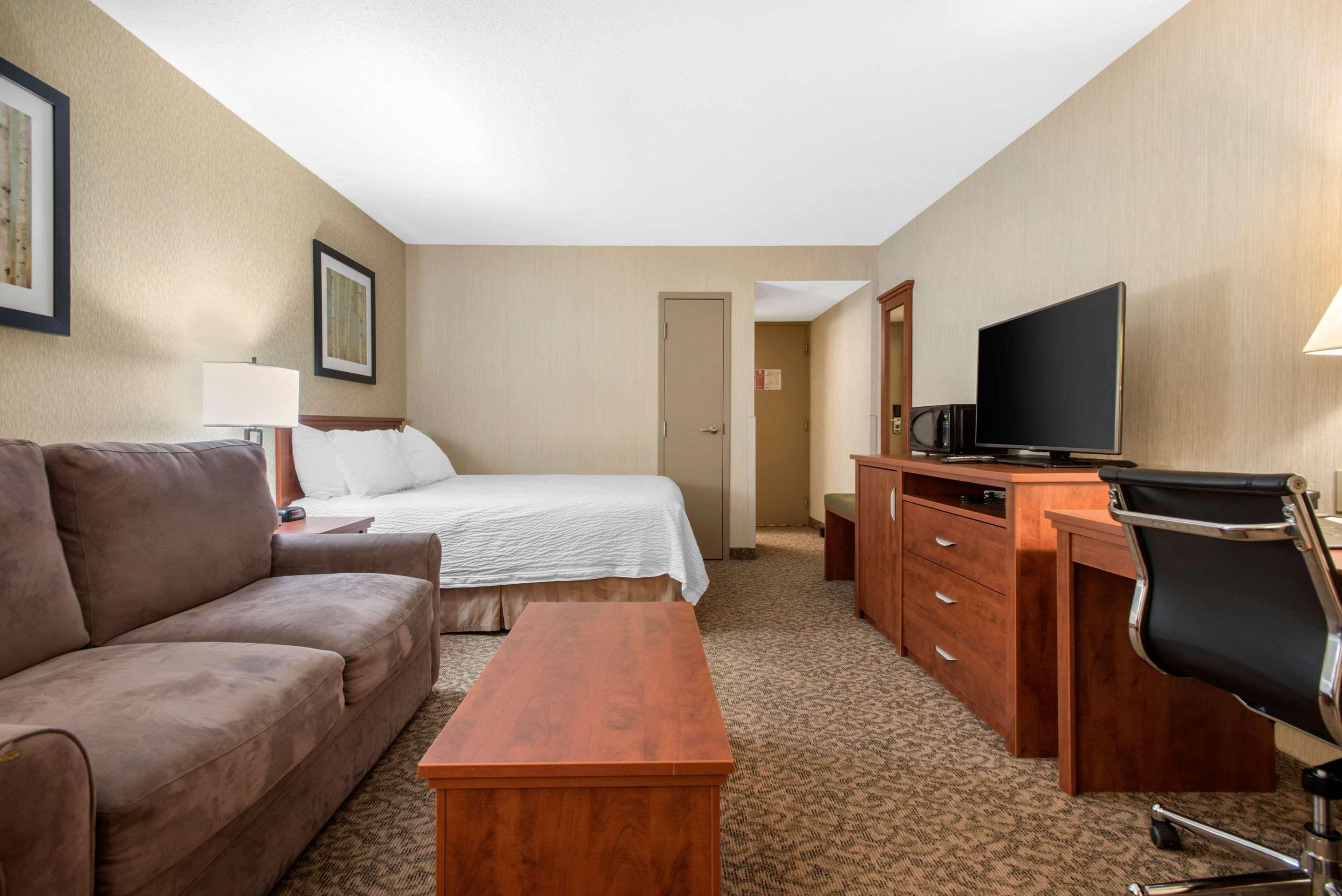 A hotel room with a bed, a sofa, a desk with a chair, a television, and a desk lamp.
