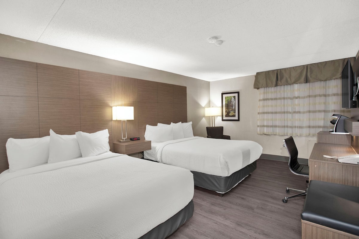 1 bedroom, desk, laptop workspace, blackout curtains