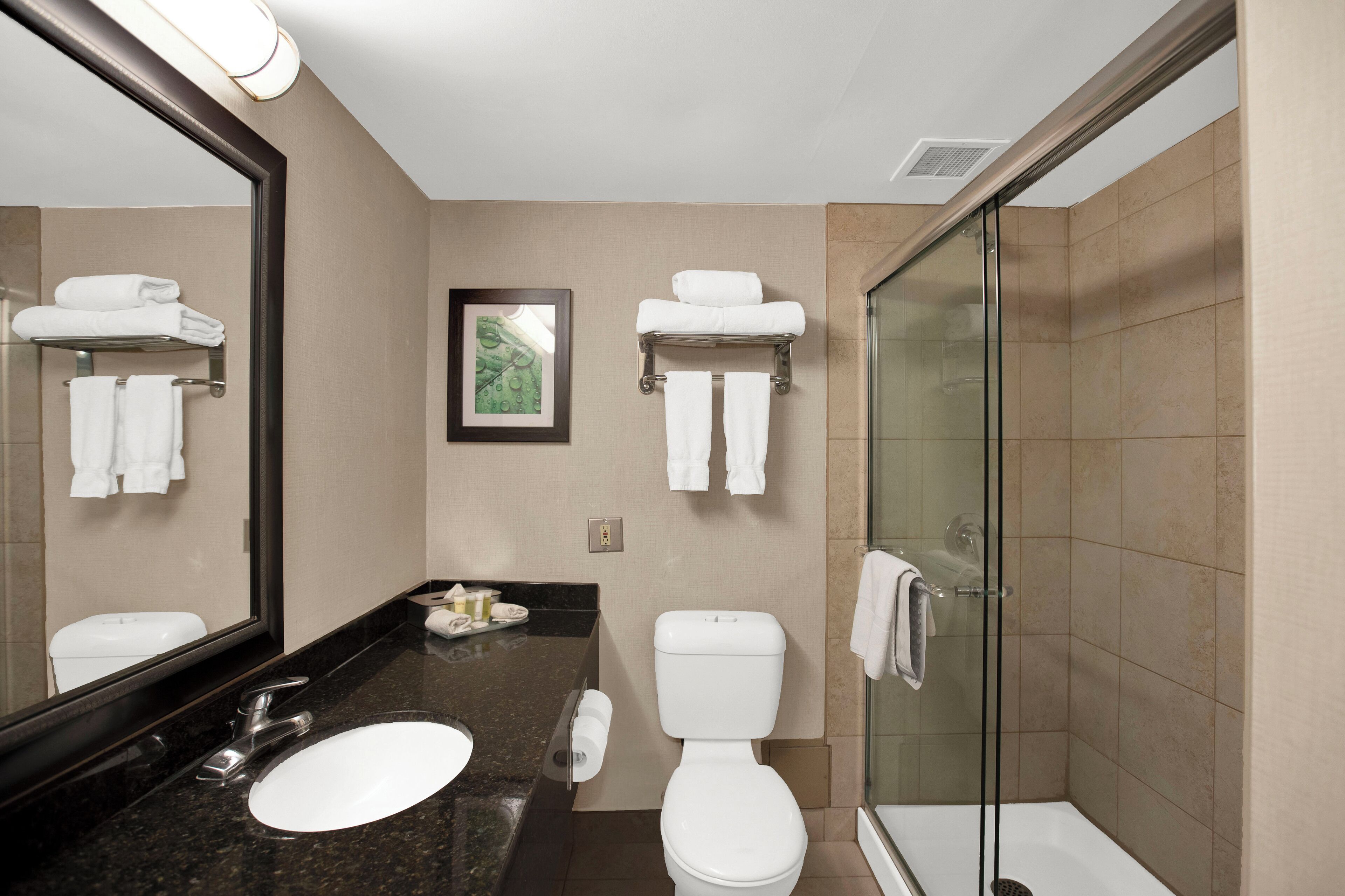 A modern bathroom with a glass-enclosed shower, a sink, and a toilet.