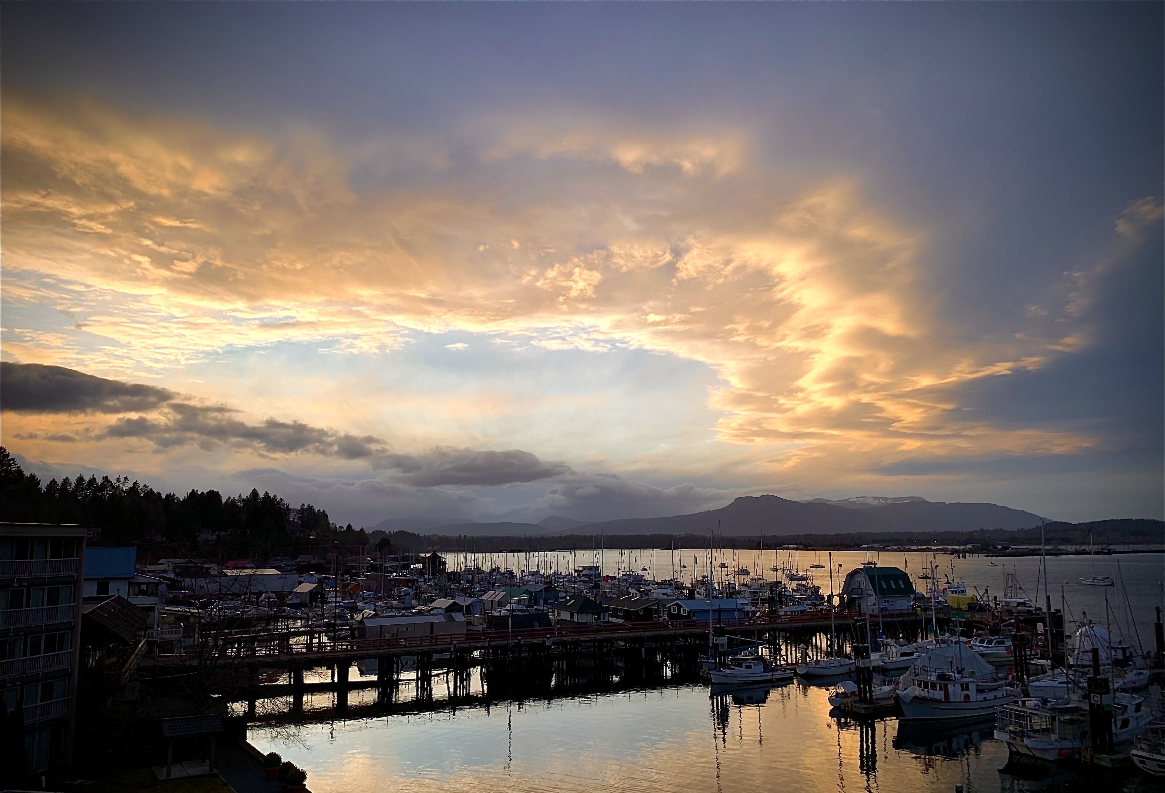 A marina with boats docked, a pier, and buildings in the background.