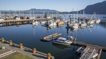 A marina with boats docked, a wooden pier, and potted plants along the walkway.
