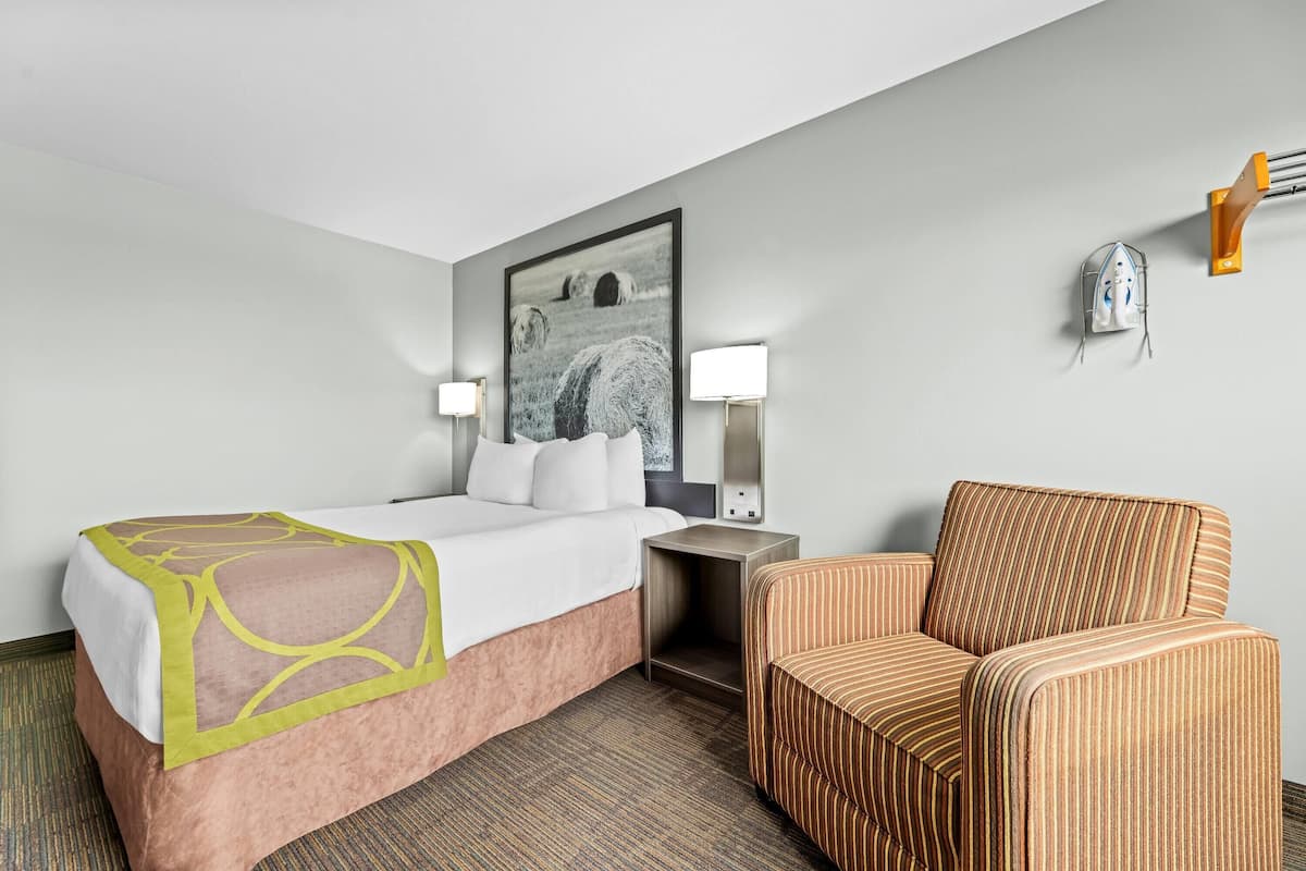 A hotel room with a bed, a chair, a nightstand, a lamp, and a wall-mounted iron.