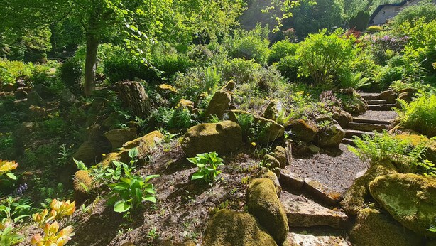 A garden with a stone pathway, lush greenery, and a variety of plants. - Mansfield House Hotel (Hawick)