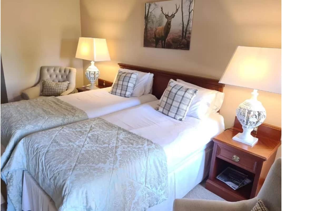 A double room with two beds, a headboard, bedside tables with lamps, and a painting on the wall.