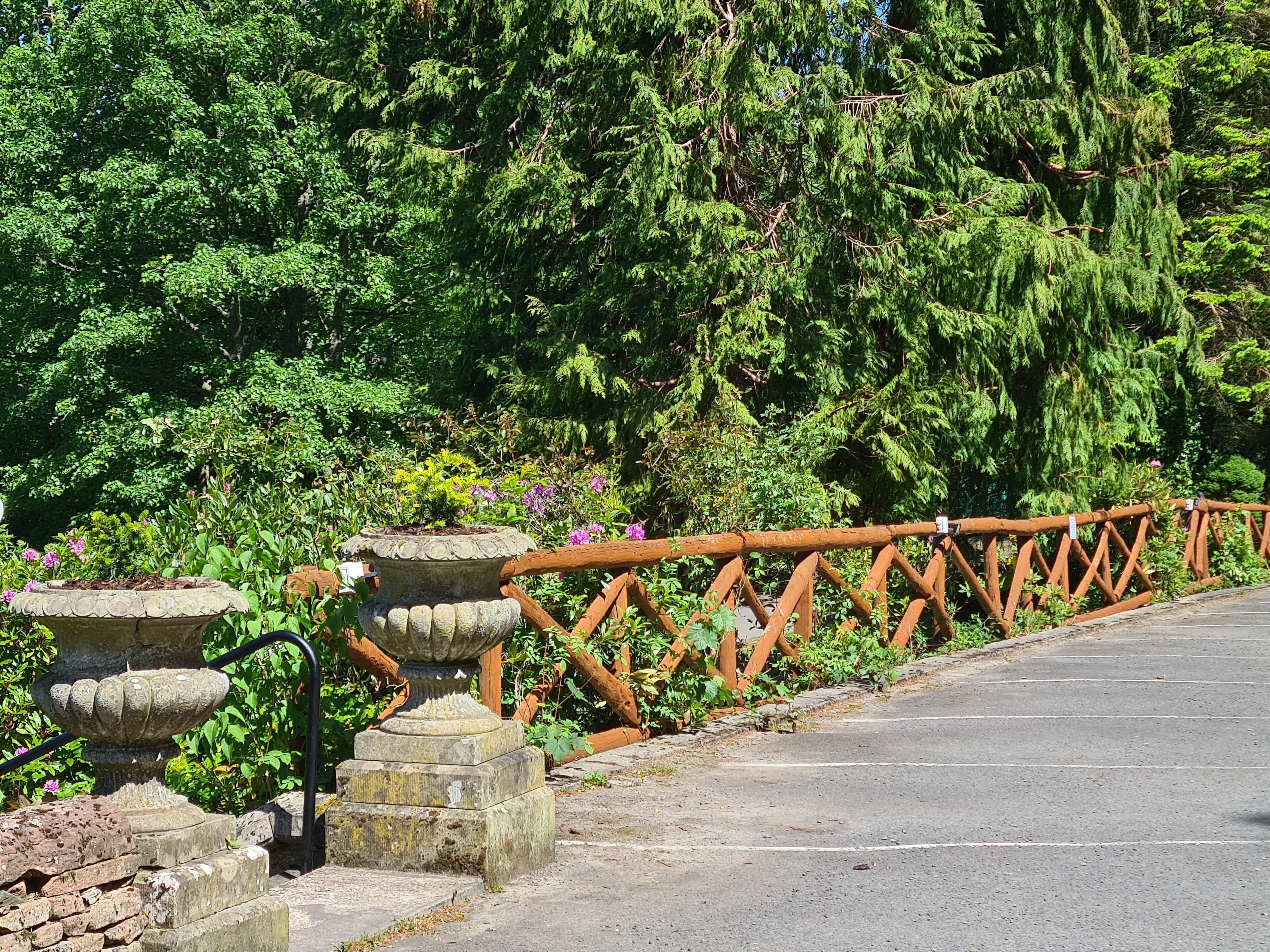 A stone pathway with a wooden fence, surrounded by lush greenery and flowering plants.