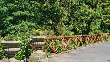 A stone pathway with a wooden fence, surrounded by lush greenery and flowering plants.