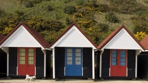 A row of three beach huts with red and blue doors, numbered 2363, 2384, and 2385, along a coastal road. - Denewood Hotel - Guest Accomodation (Bournemouth)