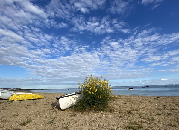 Una playa con barcos, un kayak amarillo y flores amarillas.
