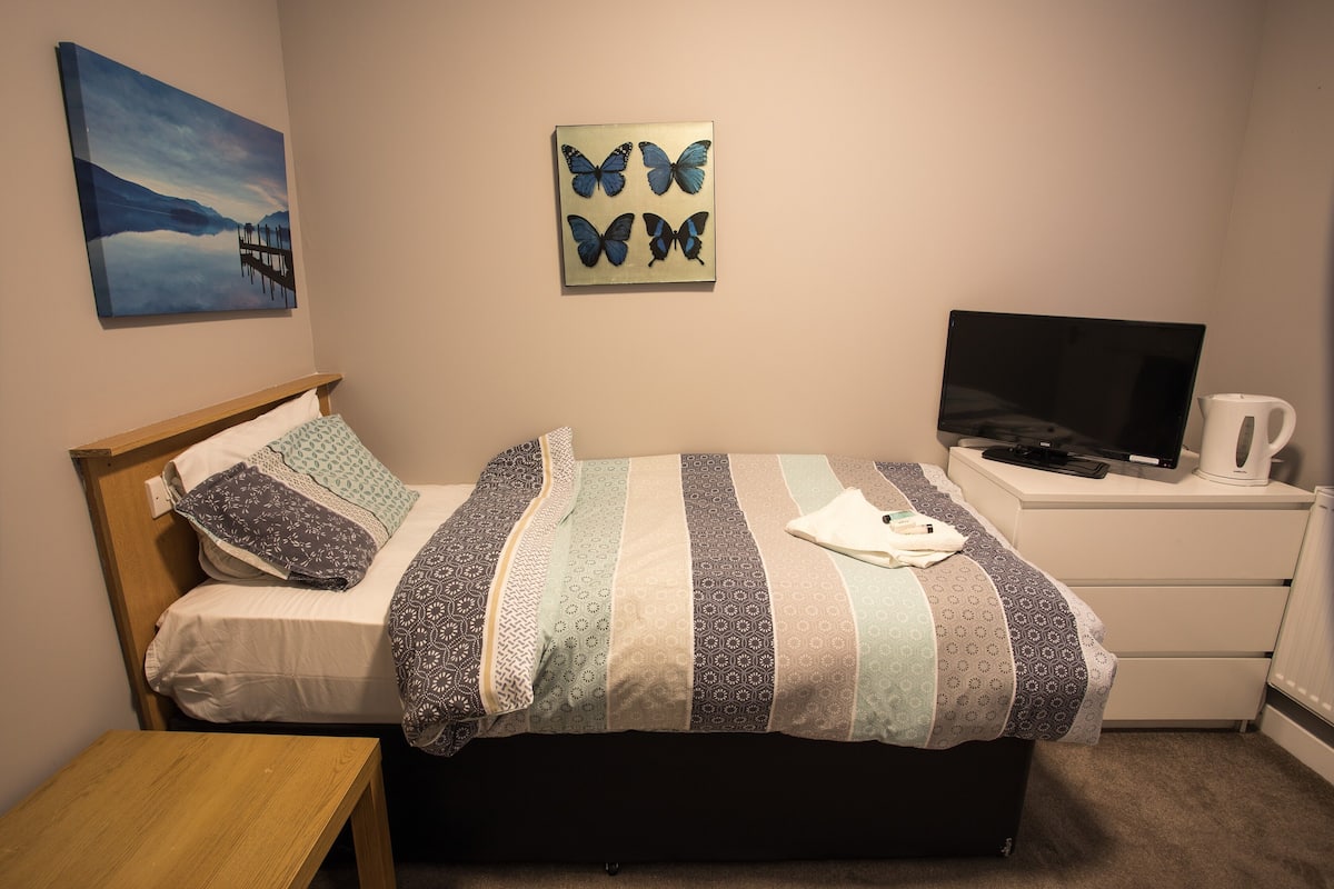 Une chambre à coucher avec un lit, une table de chevet en bois, un téléviseur et un tableau accroché au mur.