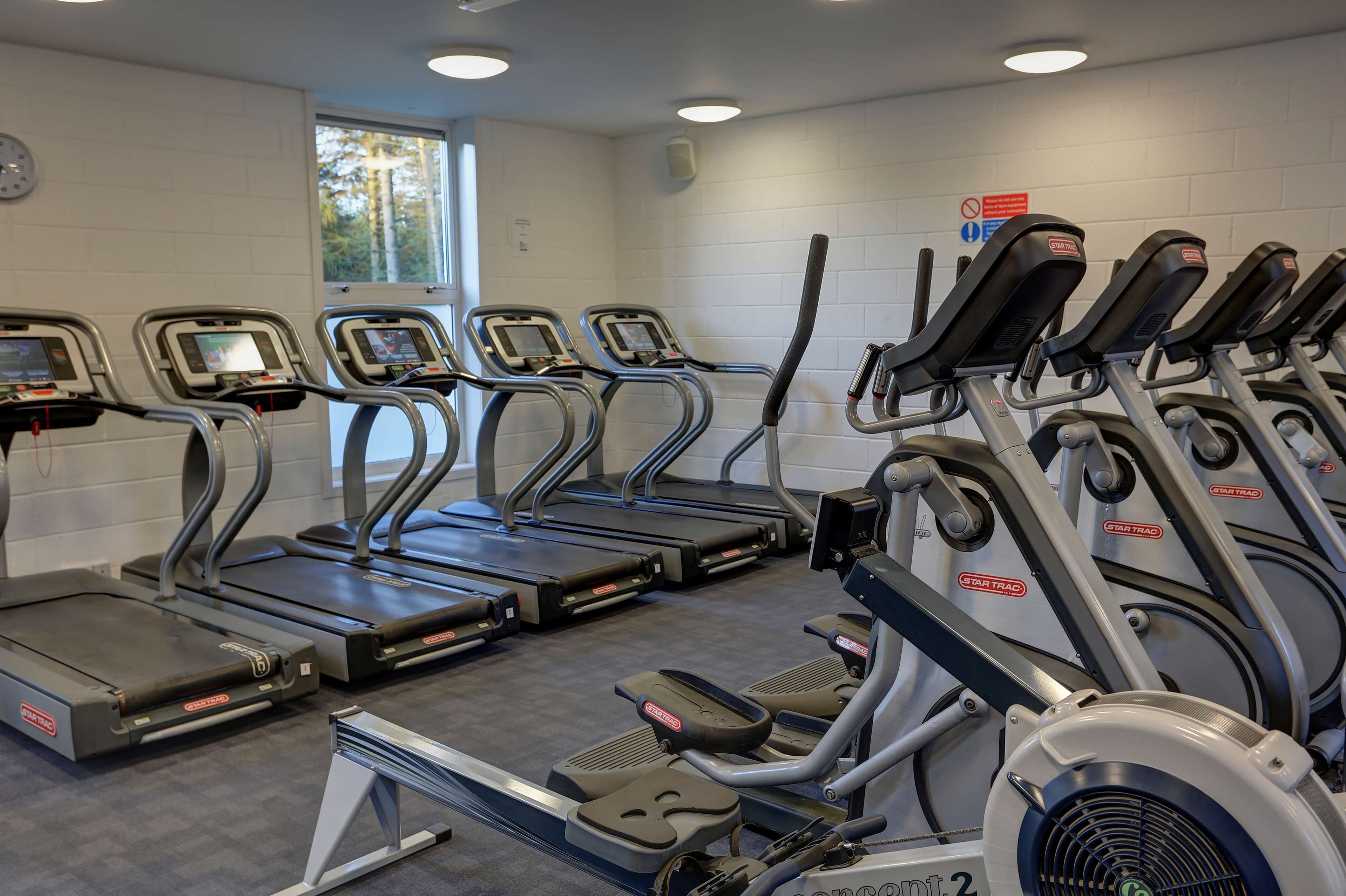 A gym with multiple treadmills and elliptical machines, a clock on the wall, and a window providing natural light.