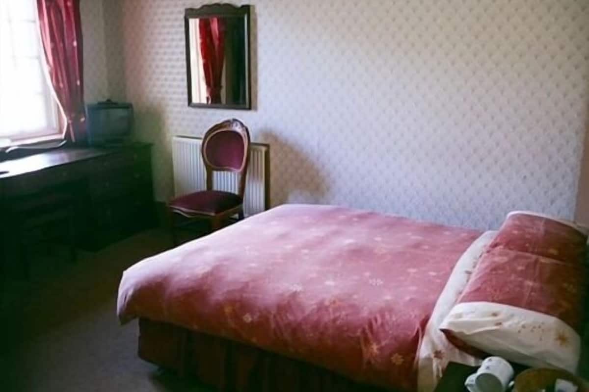 A bedroom with a bed, a chair, a mirror, and a radiator.