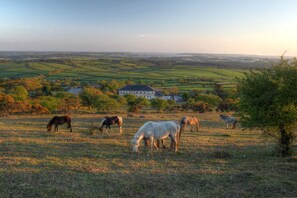 Un paisaje rural con una casa grande al fondo, rodeado de campos y caballos pastando.