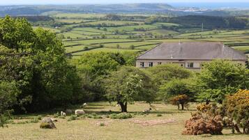 Utsikt fra overnattingsstedet