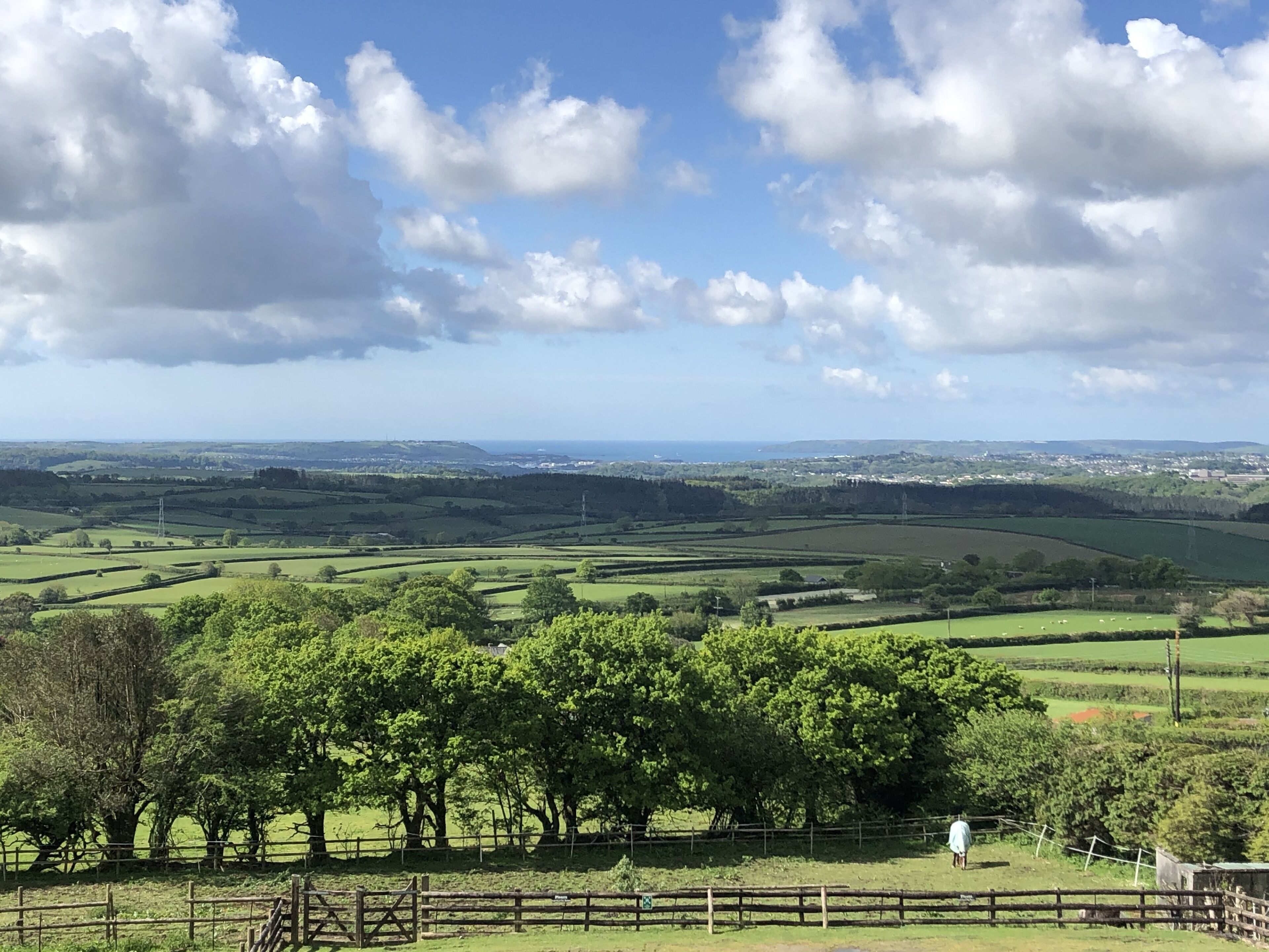 A rural landscape with rolling green fields, a wooden fence, and a distant view of a town.