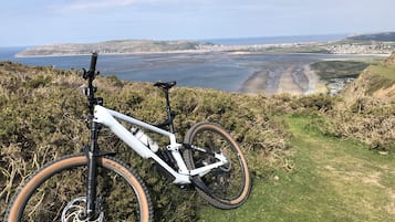 Bicycling