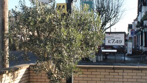 A sign for Sorrento Hotel and Restaurant with a telephone number and an arrow pointing to the right for the car park. - Sorrento Hotel (Cambridge)