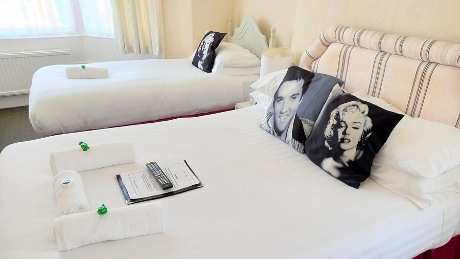 The Albert Hotel Near Winter Gardens