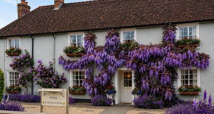 Meryan House Hotel