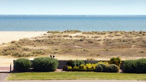 Uma praia com areal arenoso e dunas gramadas. Há arbustos e um muro baixo em primeiro plano.