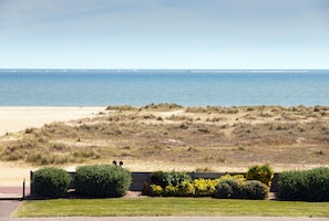 A beach with a sandy shore and grassy dunes. There are bushes and a low wall in the foreground. - Imperial Hotel (Great Yarmouth)