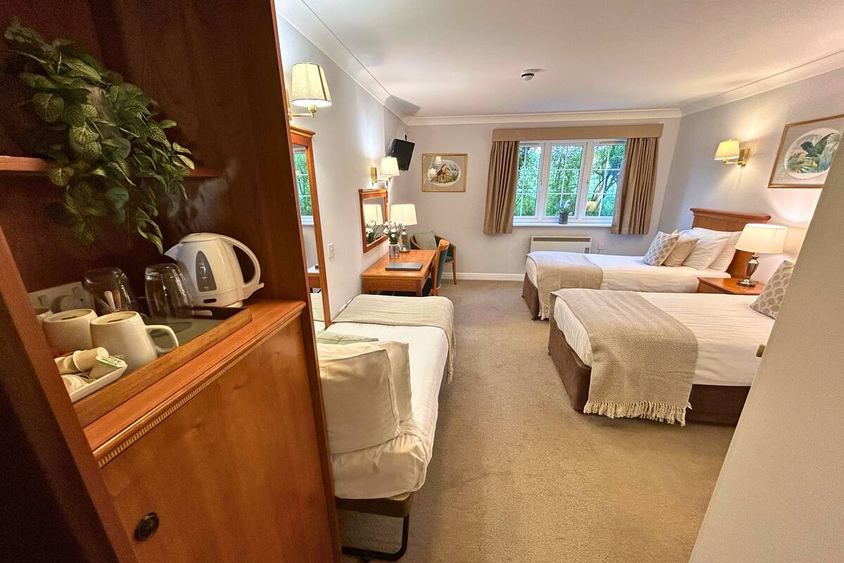 A hotel room with two beds, a small desk, a mirror, a window with curtains, and a plant.